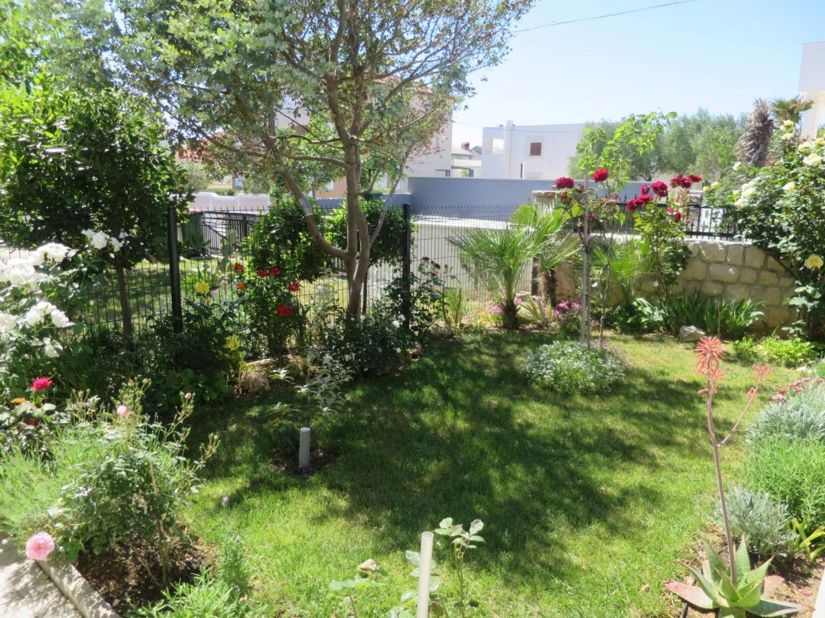 ורסי Apartment Mirjana - Nin450 By Interhome מראה חיצוני תמונה